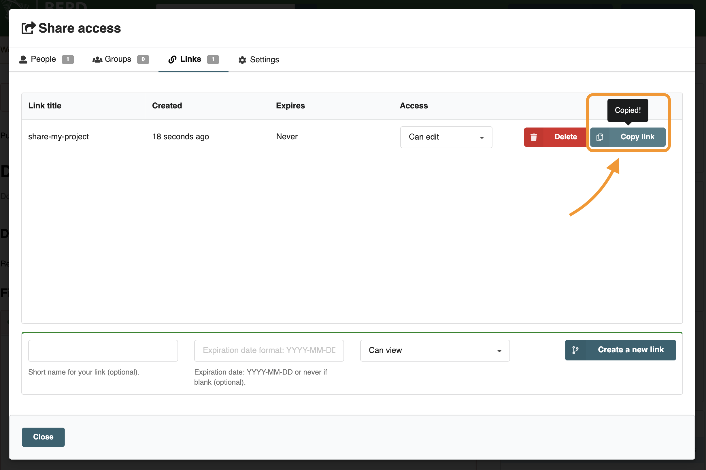Option 2: Copy the link and send it to individuals you want to share your data with.