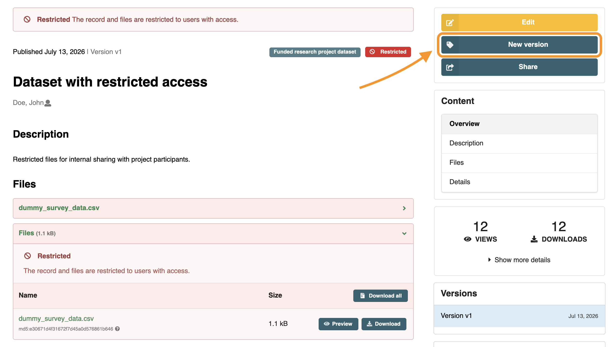 Step 4: Create a 'New Version' of your dataset.